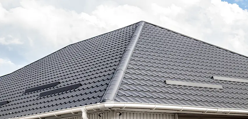 Roof Gully Repair in Janesville