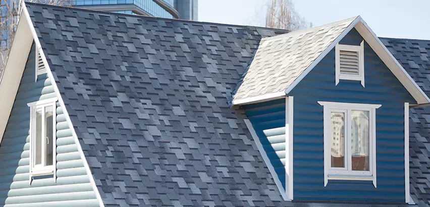 Shingle Roof Maintenance in Janesville